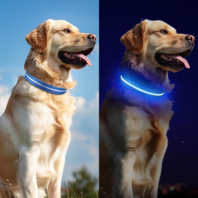 LED Dog Collar, Light Up Dog Collar USB-C Rechargeable Waterproof | 360° Visibility Light Up Dog Collar, Adjustable Nylon Collar with 3 Modes for Small Medium Large Dogs Night Walking Blue L - Image 6