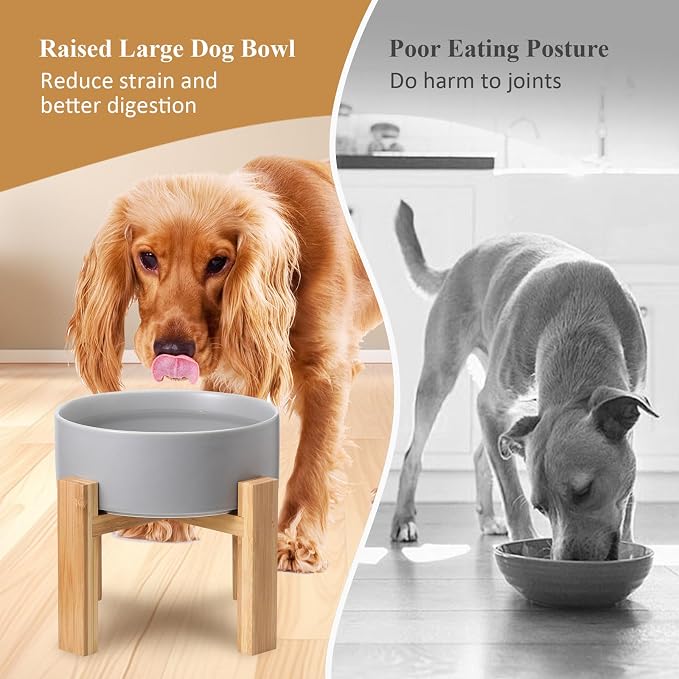 Raised Ceramic Large Dog Bowl - Heavy Weighted Dog Dish with Bamboo Stand - Elevated for Comfortable Feeding - 8.3" W x 8" H - 4.5 Cups (68 fl oz) - White - Image 3
