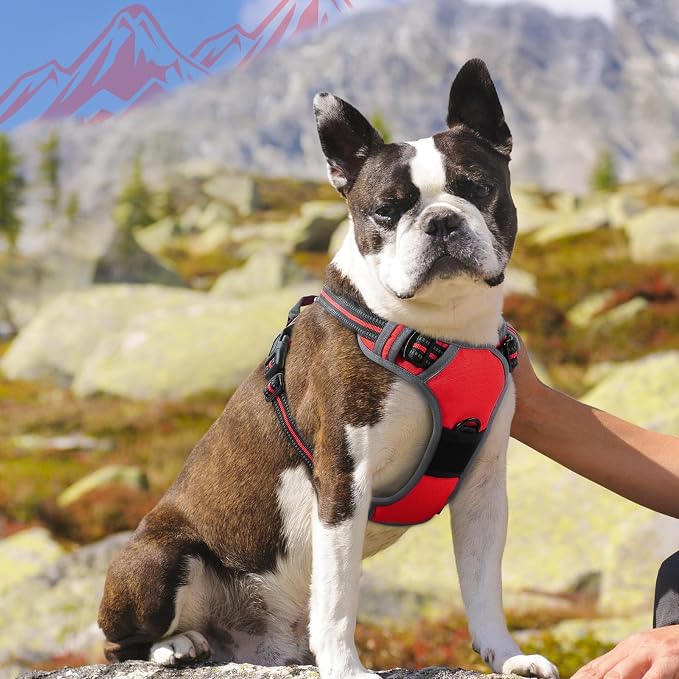 Eagloo Dog Harness for Medium Sized Dogs, No Pull Vest with 2 Leash Clips | No Choke with Handle, Adjustable Comfort Fit, Reflective Strips, Easy Walking Control, Red, Medium - Image 2