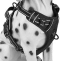 PoyPet No Pull Dog Harness Medium, Reflective Vest with Front Clip & Handle | Easy On/Off, No Choke, Adjustable, 2 Leash D-rings, Soft Padded, Breathable, Oxford, for Walking Training, M, Black by PoyPet