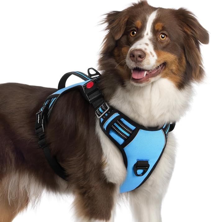 rabbitgoo Large Dog Harness, Easy Wear with 3 Buckles and Lift Handle | No Pull with Front Clip for Walking, Adjustable Soft Padded, Reflective, Easy Control, Light Blue, X-Large by rabbitgoo