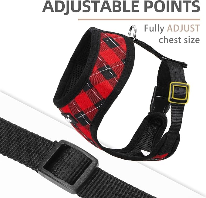 PUPTECK Small Dog Harness and Leash Set No Pull for XS XXS Sized Dogs Puppy | Escape Proof No Choke Pet Cat Adjustable Soft Padded Walking Vest - Image 3