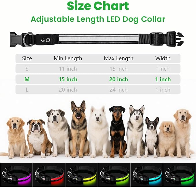 Auto Light Up Dog Collar - Smart Safety Night Collar with Motion Sensor - Auto-On in Dark - USB-C Rechargeable - 3 Day Runtime- IP65 Waterproof (M 15-20“) - Image 4