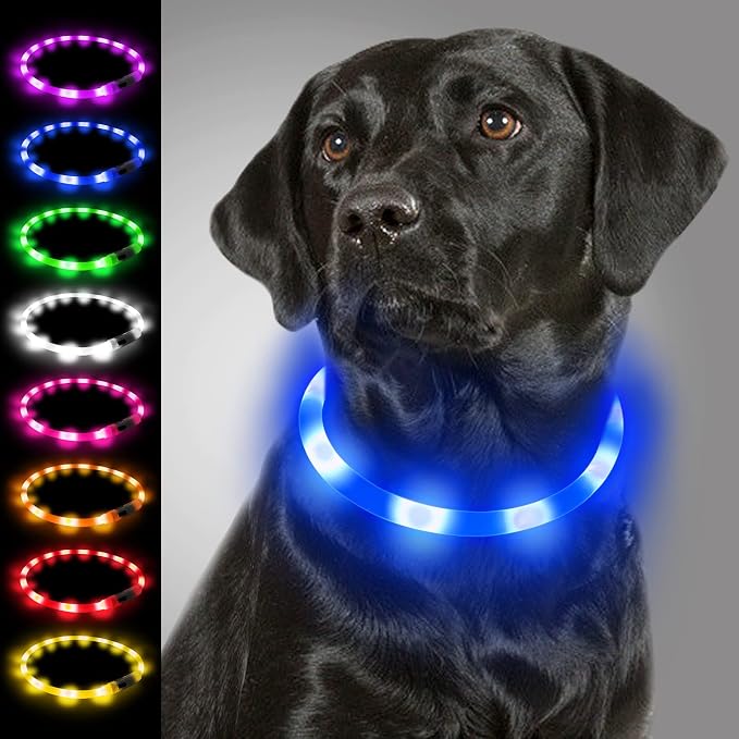 Joytale Light Up Dog Collar, LED Silicone Cut-to-Fit Rainproof, Blue | Soft Skin-Friendly Won't Chafe, 360° Glow Keeps Dogs Visible at Night, 3 Modes, Rechargeable USB-C, Small Medium Large Dogs by Joytale