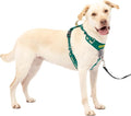 PetSafe Easy Walk Comfort No Pull Dog Harness, Green, Large | Stops Pulling on First Use with Front Martingale Loop, Full-Body Padding, 5-Point Adjustable Fit by PetSafe