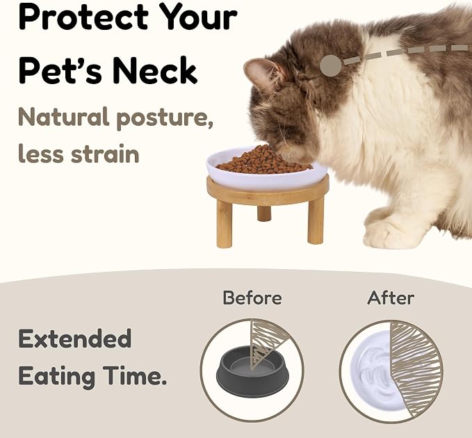 Slow Feeder Bowl, 6.3″ Elevated Cat Bowl with Stand, Melamine Wide Shallow Food Bowl, Whisker-Friendly Raised Plate, Wet Food Feeder for Slow Eating (White) - Image 2
