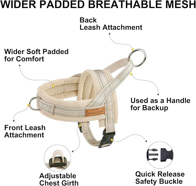 BEAUTYZOO Small Dog Harness and Leash Set, No Pull Step in Puppy Vest | Breathable Mesh with Handle, Reflective, Adjustable No Choke Escape Proof, Lightweight, Easy Control for Walking, Beige XXS - Image 7