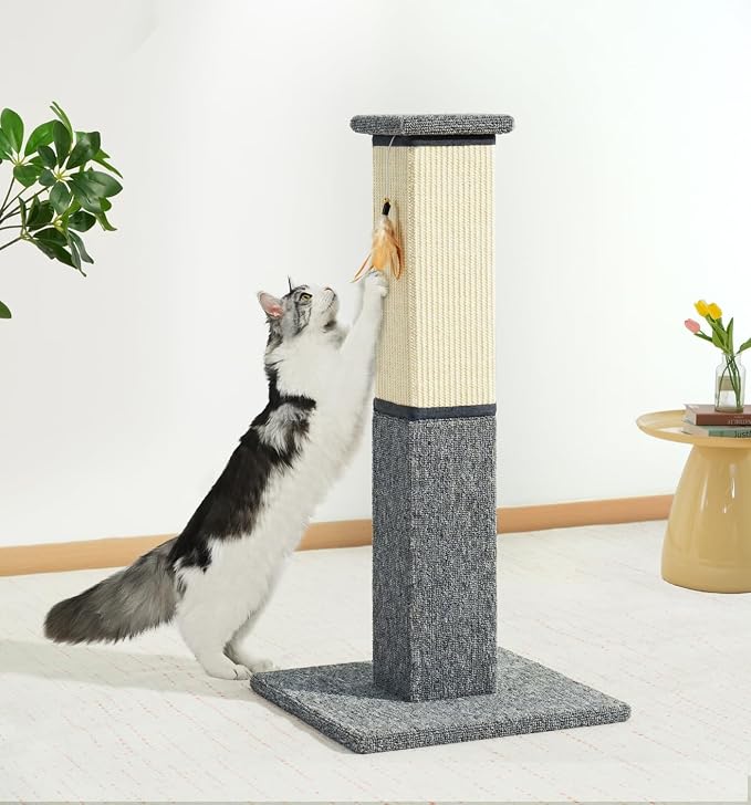 Made4Pets Cat Scratching Post for Indoor Cats, Sisal Carpet Scratcher, 32" | Dual Sisal & Carpet Surfaces, Full-Body Stretching, Stable Base, Hanging Toy for Cats with Different Scratching Preferences - Image 8