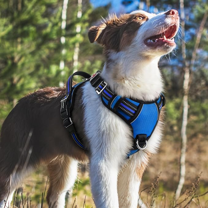 rabbitgoo Dog Harness Medium Sized, No Pull 3 Buckles Easy On & Off | Soft Padded, Walking with Control Handle, Adjustable and Reflective, Royal Blue, Medium - Image 8
