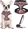 PUPTECK Small Dog Harness and Leash Set No Pull for XS XXS Sized Dogs Puppy | Escape Proof No Choke Pet Cat Adjustable Soft Padded Walking Vest by PUPTECK