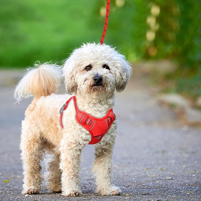 BARKBAY No Pull Dog Harness Large Reflective Dog Harness with Front Clip and Easy Control Handle for Walking Training Running with ID tag Pocket(Red,XS) - Image 9