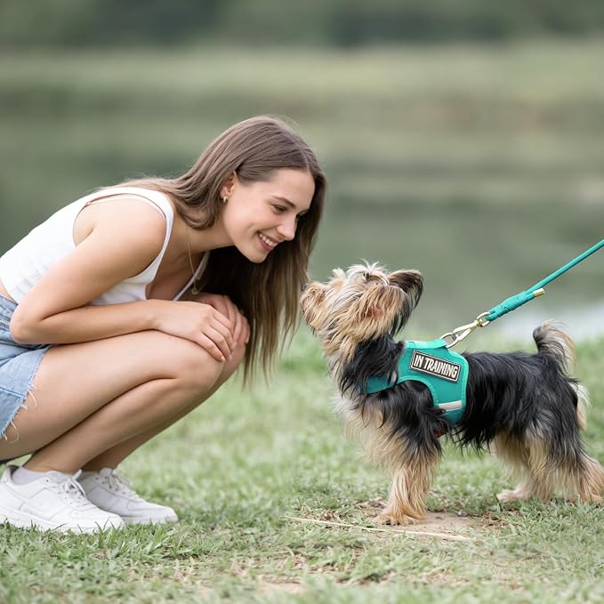 5FT Dog Leash 5/16 inch Puppy Cat Rope Lead | Marrs Green, with Anti-tangle Swivel Clip, Comfortable Non-slip Grip Handle, Ideal for Daily Walks, for Small Medium Dogs - Image 8