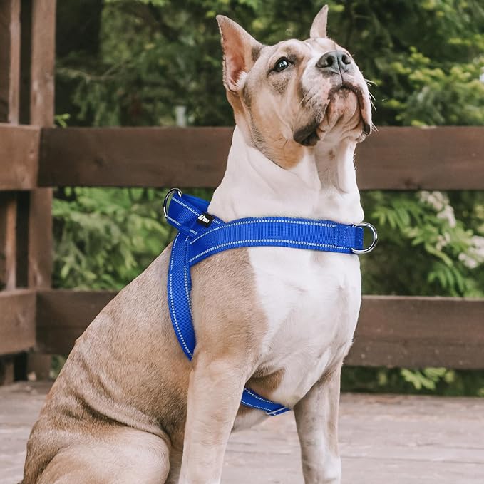 rabbitgoo Dog Harness No Pull, Quick Fit for Medium Sized Dog, Reflective | Chest Adjustable Pet Vest with Soft Padded Handle, No Choke Escape Proof for Walking Training, Blue M - Image 9
