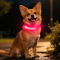 Light Up Dog Collar for Small Dogs - LED Dog Collar Rechargeable Adjustable Puppy Collars, Glow in The Dark Dog Lights for Night Walking & Camping (X-Small, Pink) by Dolitego