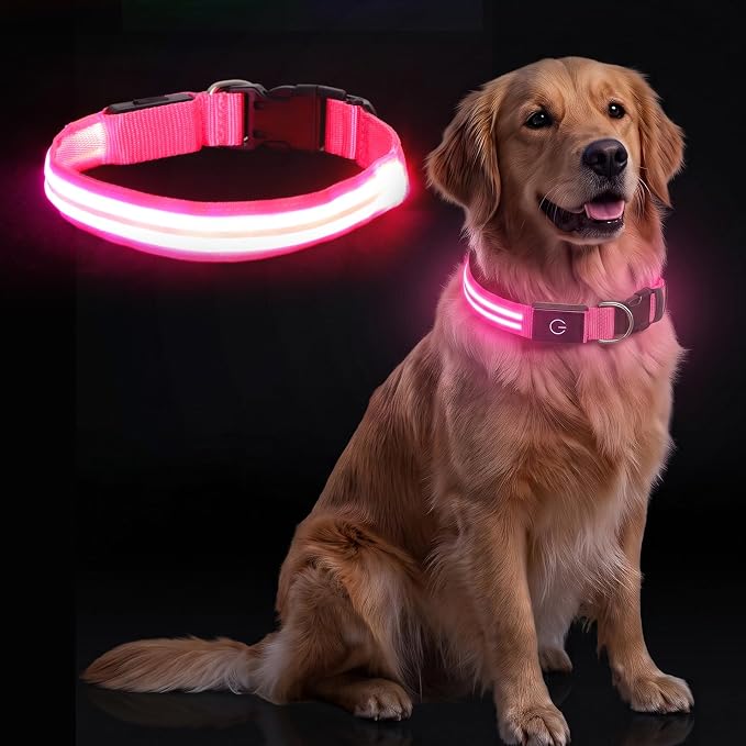 Neon LED Light Up Dog Collar for Night Walking, Rechargeable Safety Glow Illuminated Collar with 3 Modes Flashing, Reflective Adjustable Pet Light for Small/Medium Dogs Puppy 15-19" Neck (Pink) by GASRONS