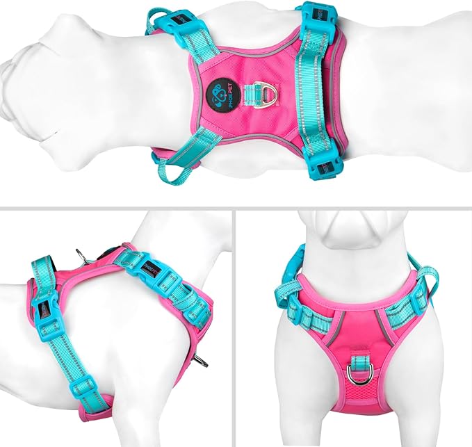 No Pull Dog Harness, Unique Colors Reflective Adjustable Dog Vest, with Soft Training Handle Metal Clips for Small Medium Large Dogs (Pink Base & Green Straps,S) - Image 2