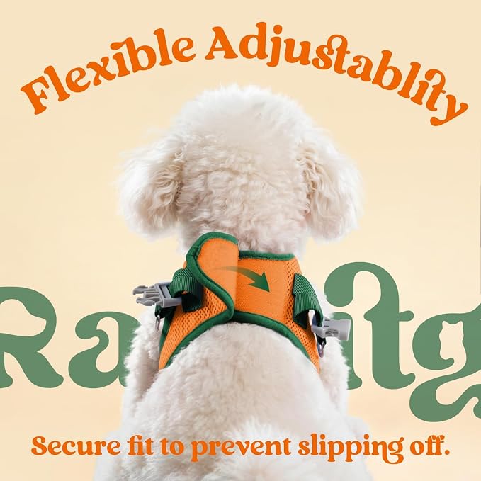 rabbitgoo Dog Harness Small Sized and Leash Set, Step in Soft Vest | Breathable Mesh, Easy Wear with Hook & Loop, Light and Reflective for Walking, Multi-colored, Orange & Dark Green, XXS - Image 6