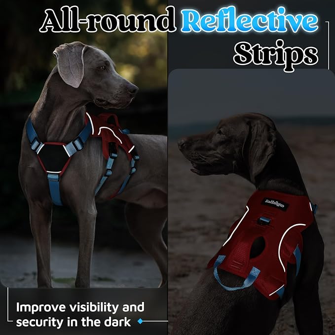 rabbitgoo Escape Proof Dog Harness for X-Large, No Pull with Lift Handle | No Escape, Full Soft Padded, Reflective Adjustable Vest, Leash Clip for Walking Hiking Training, Sky Blue & Red, X-Large - Image 8