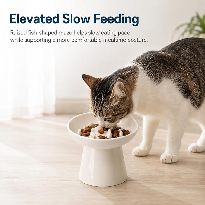 Cat Slow Feeder Bowl, Ceramic Elevated Cat Slow Feeder Bowl, Shallow Wide Opening Dish for Kitty, Anti Vomiting for Dry and Wet Food, Anti-Slip Design, White - Image 6