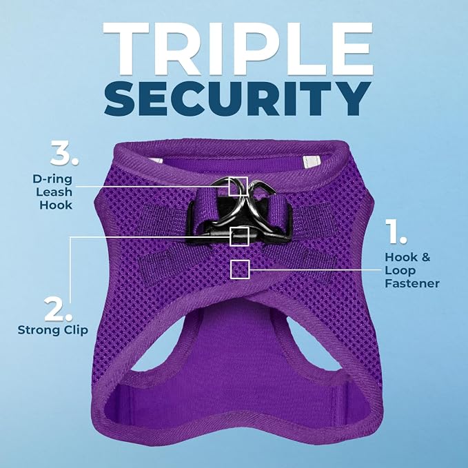 Best Pet Supplies Voyager Step-in Air All Weather Mesh Harness and Reflective Dog 5ft Leash Combo with Neoprene Handle, for Small, Medium and Large Breed Puppies - Purple, Large - Image 2