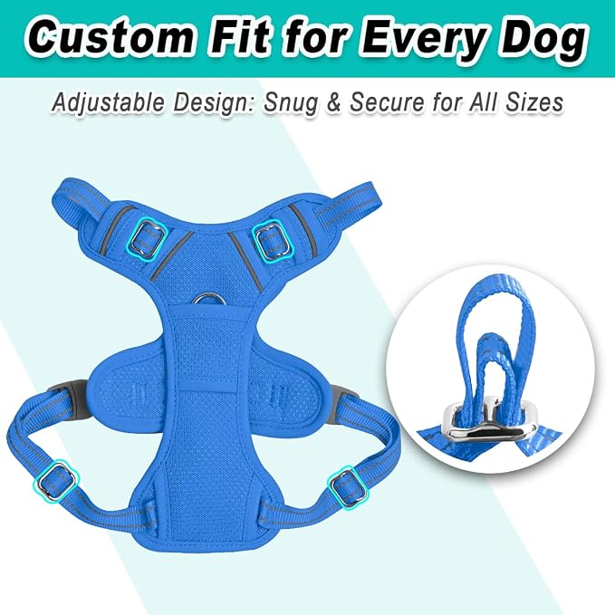 BARKBAY Dog Harness for Small Sized Dog No Pull Mesh 2 Clips Dog Vest | Control Handle,Comfort,Heavy Duty,Adjustable Reflective,Perfect for Outdoor Training, Walking,Hiking(XS,Blue Mesh) - Image 6