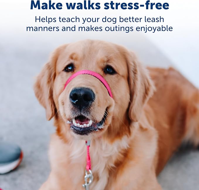 PetSafe Gentle Leader No-Pull Dog Headcollar - The Ultimate Solution to Pulling - Redirects Your Dog's Pulling for Easier Walks - Helps You Regain Control - Large, Charcoal (Pack of 6) - Image 4