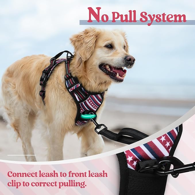 rabbitgoo Dog Harness, No Pull for Large Dogs with 2 Leash Clips, Pet Vest | No Choke with Handle, Adjustable Soft Padded, Reflective, Easy Control for Walking, Red Stripe, X-Large - Image 5