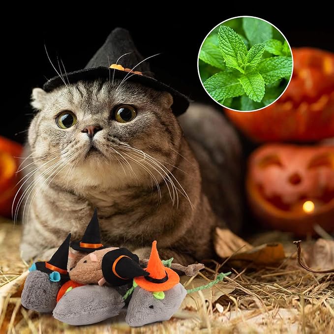 FOIMAS Halloween Catnip Toys,Witch Mouse Catnip Toy Chew Bite Plush Mice Toy for Cat Interactive, Pack of 6 - Image 2