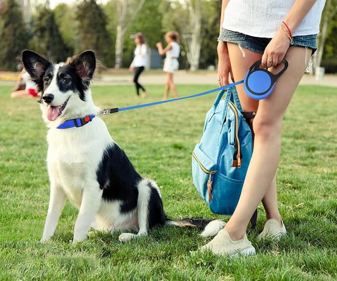 Taglory Retractable Dog Leash, One-Handed Brake, 16ft, Up to 44 lbs, Blue | More Freedom While Staying in Control, Smooth Retraction, Tangle-Free Design, Easy-Grip Handle, Daily Neighborhood Walks - Image 2