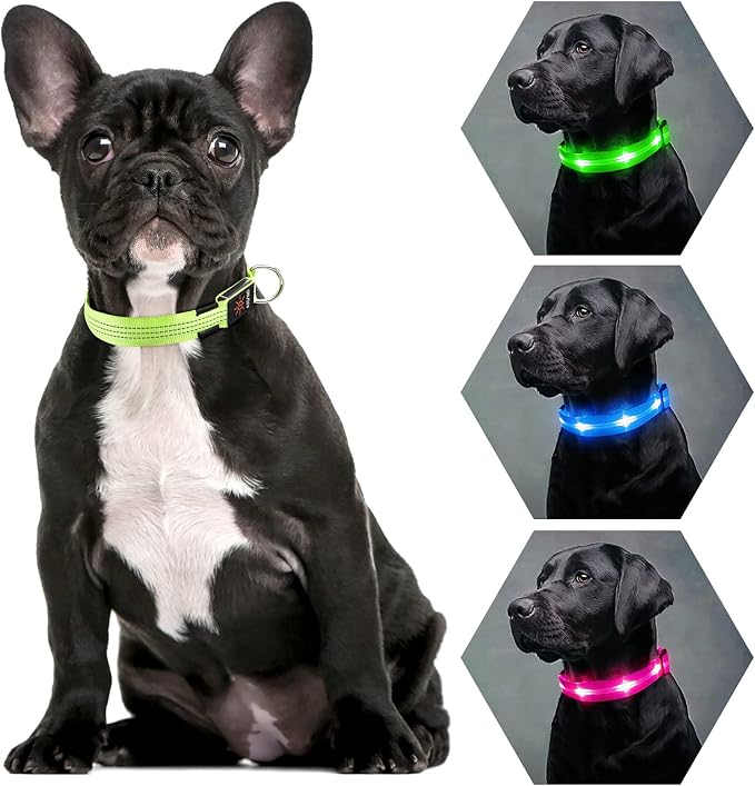 Weesiber Light Up Dog Collars - Rechargeable LED Collar - Reflective Adjustable Dog Lights for Night Walking (Green, Small) - Image 7