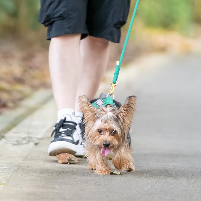 5FT Dog Leash 5/16 inch Puppy Cat Rope Lead | Marrs Green, with Anti-tangle Swivel Clip, Comfortable Non-slip Grip Handle, Ideal for Daily Walks, for Small Medium Dogs - Image 9