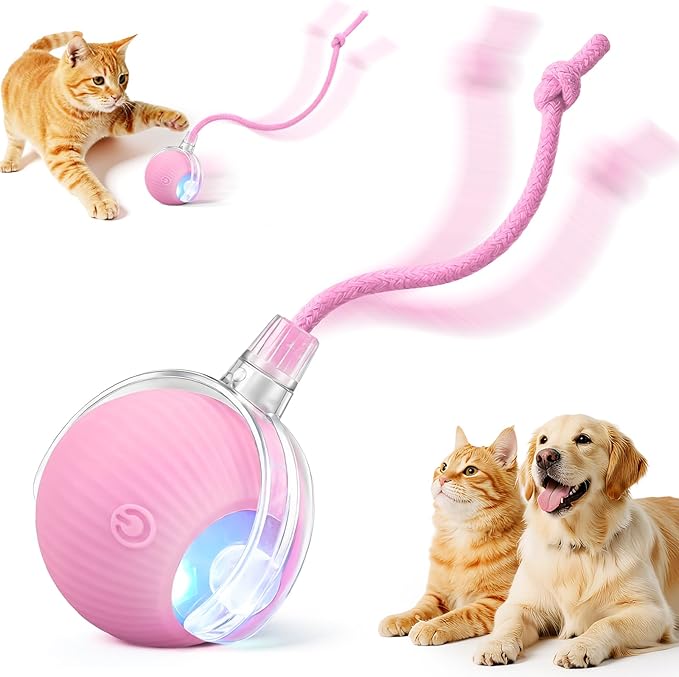 Interactive Automatic Rolling Electronic Stimulation Chase Ball Cat Dog Toy | Smart Electric Moving Stimulating Rechargeable Motion Activated Self Play Teaser for Boredom Small Dog Puppy Pet, with Rope by Unknown
