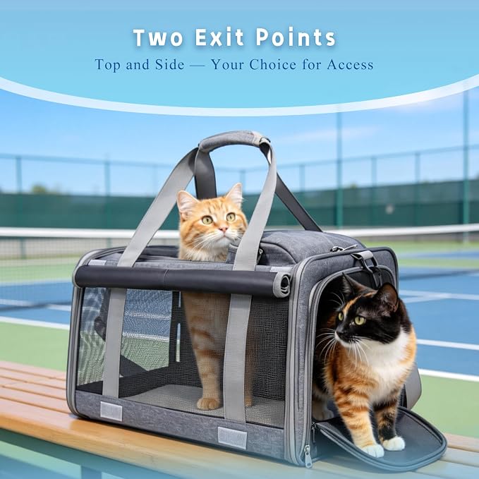 Pet Carrier for Medium-Small Cats, Collapsible Cat Carrier and Soft-Sided Pet Carrier for Cats and Small Dog Up to 17lbs, Stress-Free Travel with Privacy Cover, Travel Bag L18.9”X11.42”X11.42” - Image 5