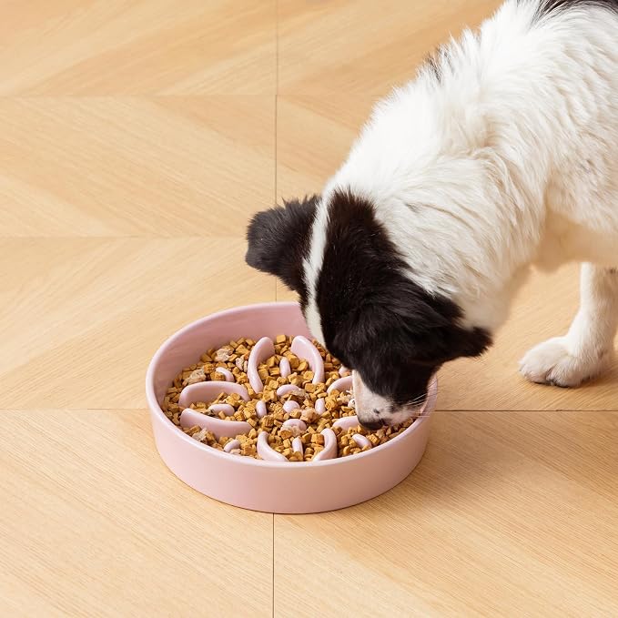 vancasso Ceramic Slow Feeder Dog Bowls, Puzzle Dog Food Bowls with Floral Maze, Anti -Slip Pet Food Dish for Large Breed, 3 Cups, Pink - Image 7
