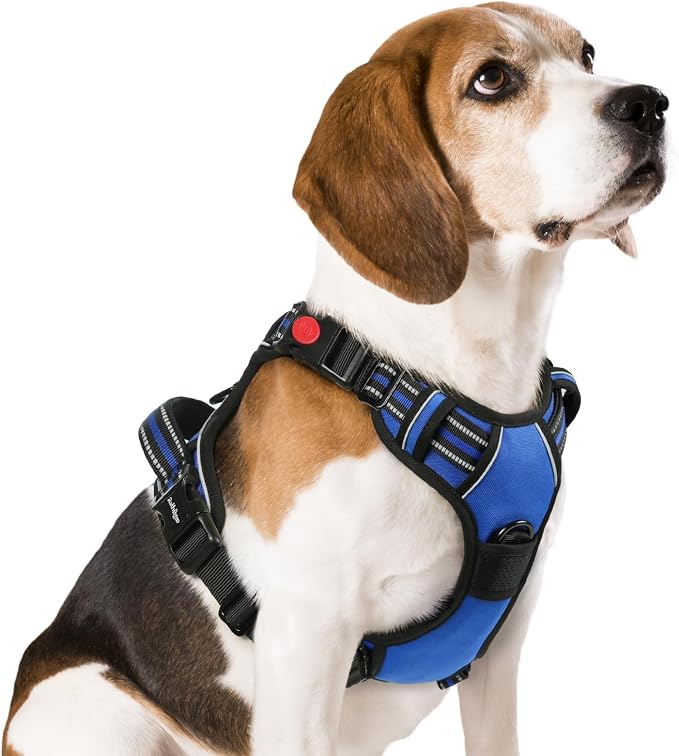 rabbitgoo Dog Harness Medium Sized, Updated Easy On & Off with 3 Buckles | No Pull No Choke, Walking with 2 Clips and Handle, Adjustable Soft Reflective, Blue, Medium by rabbitgoo