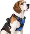 rabbitgoo Dog Harness Medium Sized, Updated Easy On & Off with 3 Buckles | No Pull No Choke, Walking with 2 Clips and Handle, Adjustable Soft Reflective, Blue, Medium by rabbitgoo