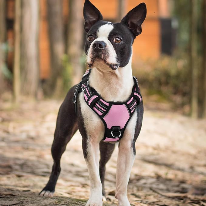 rabbitgoo Dog Harness Small Sized, No Pull 3 Buckles Easy On & Off | Soft Padded, Walking with Control Handle, Adjustable and Reflective, Light Pink, Small - Image 8