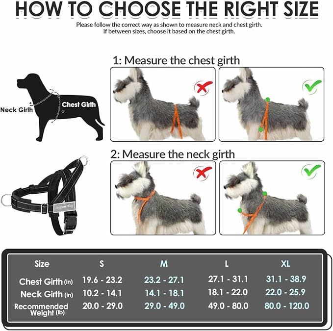 Lukovee No Pull Dog Harness and Leash Set, Soft Padded Vest with Front Clip | Adjustable, No Choke, Reflective,Durable Easy Control Pet Vest Harness for Safe Walking for Medium Large Dogs (Black, M) - Image 5
