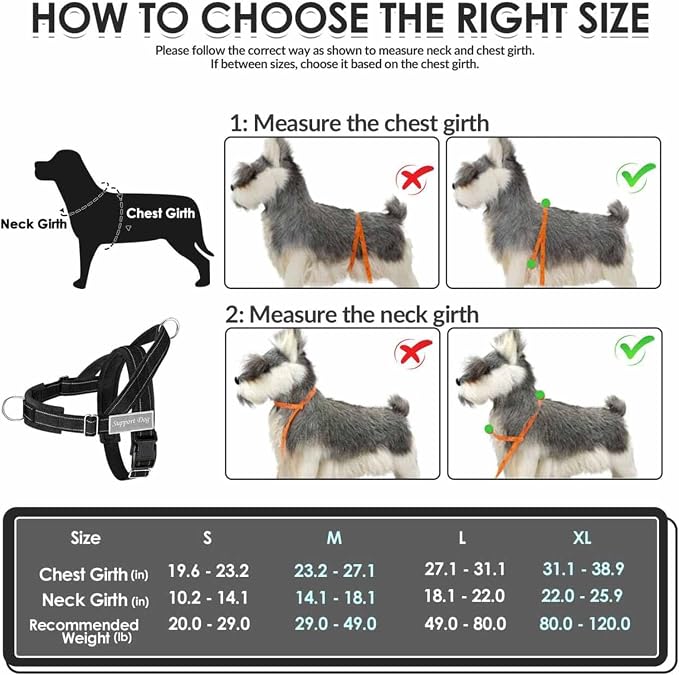 Lukovee No Pull Dog Harness and Leash Set, Soft Padded Vest with Front Clip | Adjustable, No Choke, Reflective,Durable Easy Control Pet Vest Harness for Safe Walking for Medium Large Dogs (Black, L) - Image 5