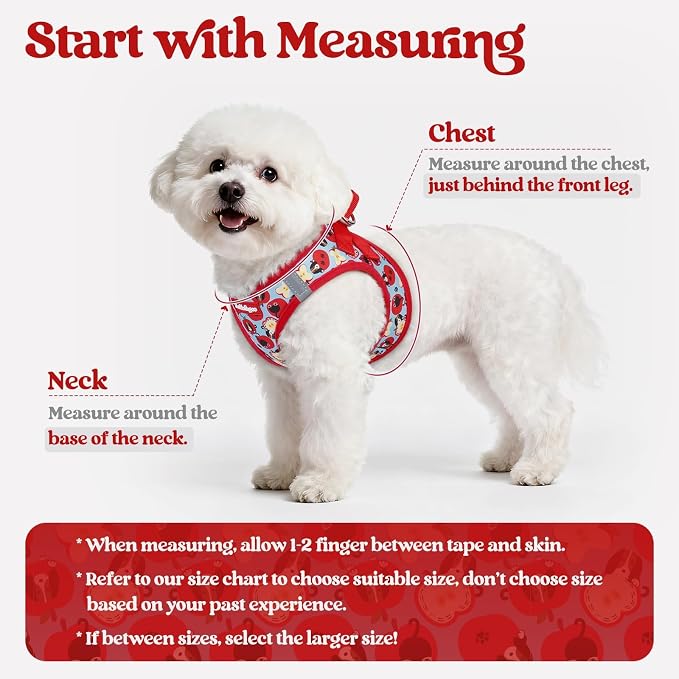 rabbitgoo Dog Harness Small Sized and Leash Set, Step-in Puppy Pet Vest | Light, Soft, Breathable Air Mesh, Easy on and Remove with Hook & Loop, Secure Reflective for Walking, Apple Pups XXS - Image 2