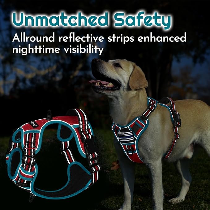 Eagloo Dog Harness No Pull for Small Dogs, Easy On & Off with 3 Buckles | No Choke with Front Clip, Adjustable Fit, MOLLE System, Reflective Vest, Easy Control for Walking, Red & Teal, Small - Image 8