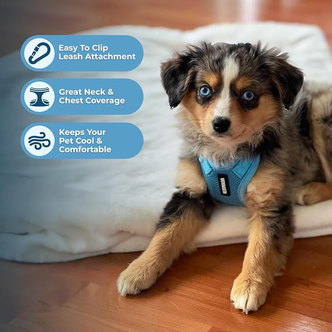 Voyager Step-in Lock Dog Harness - Baby Blue, Medium | 17 - 21" in Chest, Adjustable, Breathable Air Mesh, Lightweight for Daily Walks, Strong Clips, Heavy Duty D-Ring - Image 3