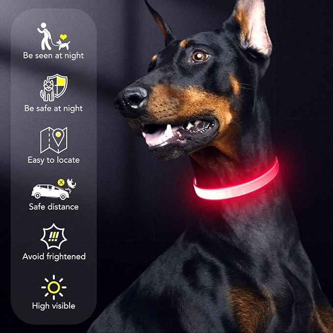 LED Dog Collar Light Up Dog Collars Red Light USB Rechargeable, Adjustable Size Heavy Duty TPU Nylon Webbing Glow Safety Basic Dog Collars for Large Medium Dogs (M,Candy Pink) - Image 6