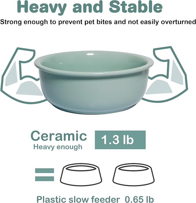 Ceramic Replacement Dog Bowl for Wordcam SS02 Model, 6.9"X2.6", Light Green | Food and Water Bowl Set, for Small Medium Cats, Pet Feeding Dishes for Dogs 20-35lbs, Thicker Ceramic, Anti-Skid, 28Oz/800ML - Image 4