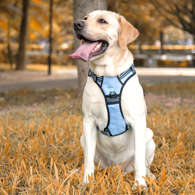 PoyPet Dog Harness Medium, No Pull Vest with Front/Back Clip & Neck Buckle | No Choke, Lockable, Reflective, 2 Lead Rings, Adjustable, Soft Padded Handle for Training Walking, M, Light Blue - Image 3