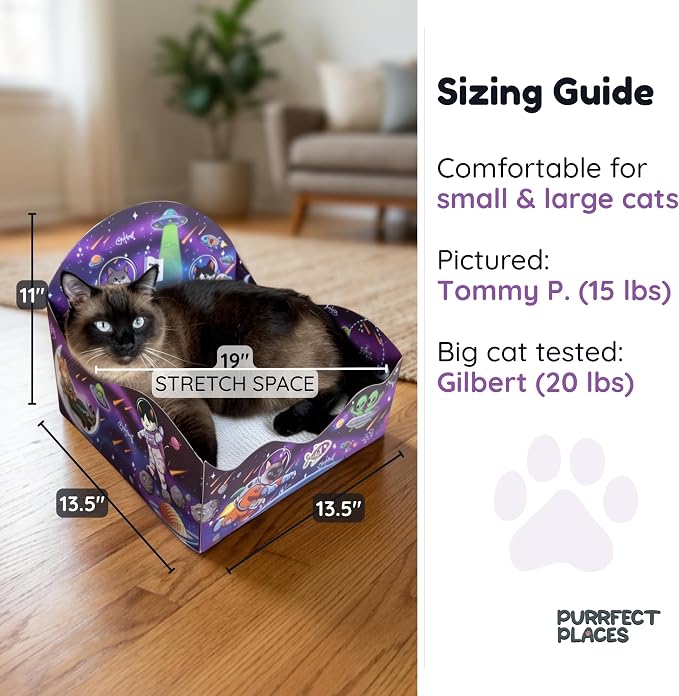 Themed Cardboard Cat House & Scratcher | Space Theme | Enclosed Privacy Bed and Premium Corrugated Scratch Pad for Small, Medium & Large Indoor Cats, 13.5 inches (Meow Moon) - Image 2