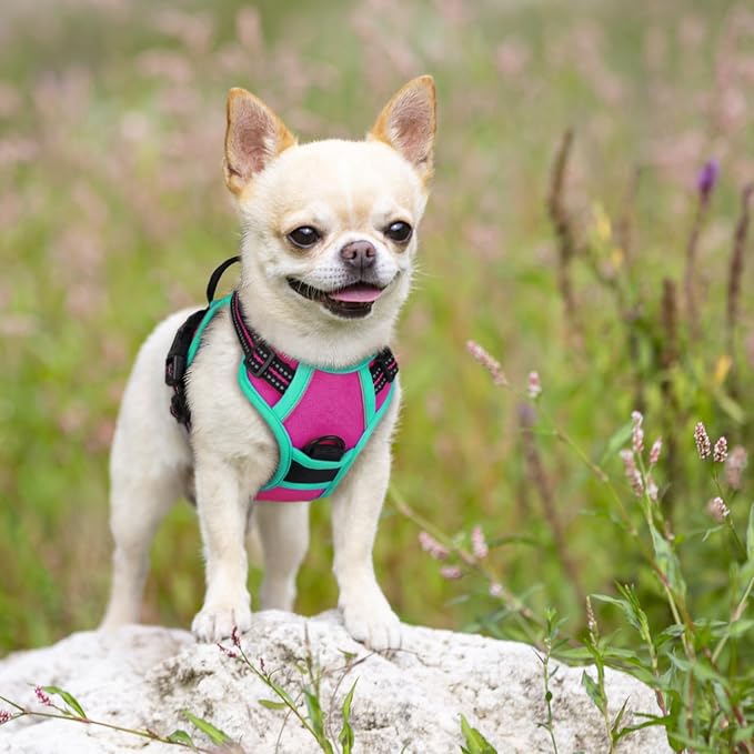 rabbitgoo Dog Harness, No Pull for Small Dogs with 2 Leash Clips, Pet Vest | No Choke with Handle, Adjustable Soft Padded, Reflective, Easy Control for Walking, Hot Pink & Turquoise, X-Small - Image 7