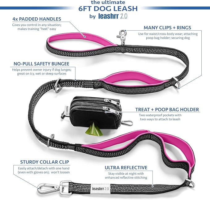 Dog Poop Bag Holder with Dispenser & Storage Pouch - Includes Adjustable Reflective Dog Leash (6FT Bungee, Padded Handles) - Durable Leash for Walking, Training & Travel (Aqua) - Image 6