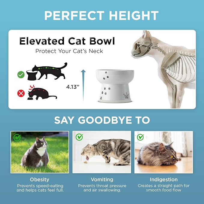 NECOICHI Raised Cat Water Bowl, Elevated, with Measurement Lines, Dishwasher and Microwave Safe (Cat, Extra Tall) White - Image 5