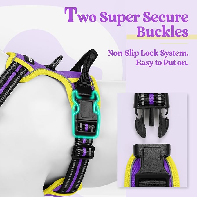 rabbitgoo Dog Harness, No Pull for Small Dogs with 2 Leash Clips, Pet Vest | No Choke with Handle, Adjustable Soft Padded, Reflective, Easy Control for Walking, Purple & Yellow, Small - Image 3